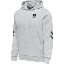 Load image into Gallery viewer, hmlLGC LIAM HOODIE